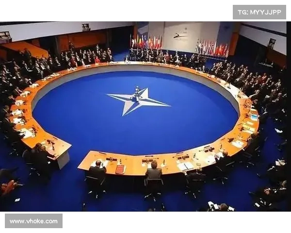 金砖十国宣布暂停接纳新成员,全球政治格局将如何变化?(金砖国家解散了吗) 金砖十国宣布暂停接纳新成员,全球政治格局将如何变化?(金砖国家解散了吗)